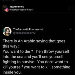 Meet your Posher, Eneida